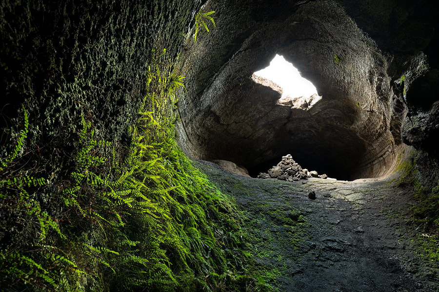 Life on lava tube