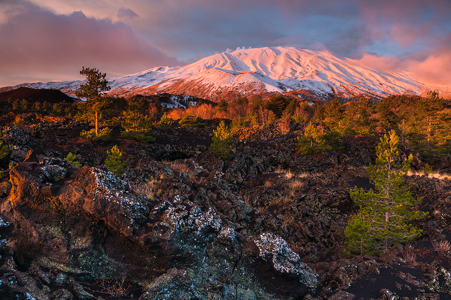 Ancient lava fields