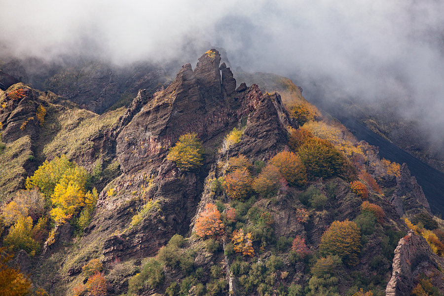 Autumn on dikes